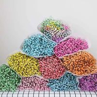 Fleurs séchées de gypsophile naturelles préservées couleur personnalisée, tige de 55-60 cm, pour la Fête des Mères, cadeau de vacances, fourniture de matières premières pour fleuristes