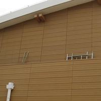 Revêtement mural en WPC durable de 20 mm pour maison