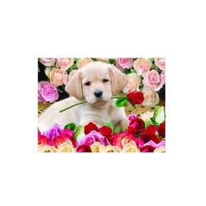 Prix usine 3D <span class=keywords><strong>image</strong></span> lenticulaire <span class=keywords><strong>de</strong></span> <span class=keywords><strong>super</strong></span>-héros Anime 3D affiches pour la vente en gros - Product Image 5