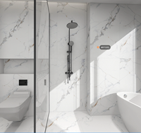 Carreaux de sol et de mur en porcelaine émaillée entièrement polie 60x120cm - Design moderne pour salle de bain et intérieur d'appartement