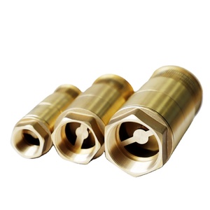 Haute qualité double porte vanne de fond station-service réservoir d'huile double porte <span class=keywords><strong>clapet</strong></span> <span class=keywords><strong>anti</strong></span>-<span class=keywords><strong>retour</strong></span> crépine en cuivre - Product Image 6