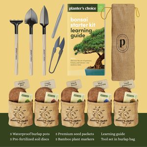 Planter's Choice Kit de démarrage d'arbre à bonsaï d'intérieur unique Source d'alimentation manuelle pour adultes bricolage artisanat passe-temps cadeau pour les amateurs de jardinage - Product Image 4