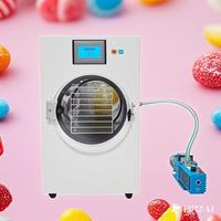 Middelgrote 45Kg Melkvlees Voedsel Fruit Snoep Vacuüm Vriesdroger Machine Lyofilisator Voor Voedsel Commercieel Te Koop