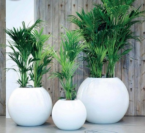 <span class=keywords><strong>Pot</strong></span> <span class=keywords><strong>de</strong></span> fleurs en fibre <span class=keywords><strong>de</strong></span> verre blanc givré, simple, pour décoration intérieure et extérieure d'hôtel, grande taille, <span class=keywords><strong>promotion</strong></span> - Product Image 5