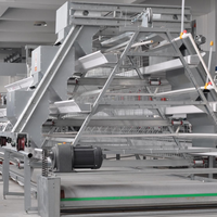 Cage à poules pondeuses à batterie de type 4 niveaux, économique, avec fenêtre de ventilation intégrée, pour ferme avicole commerciale