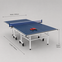 Table de ping-pong d'intérieur pliable, panneau standard, mobile avec roues et balles