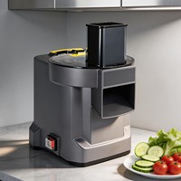 Commerciële elektrische groentesnijmachine 3-in-1: snijden, raspen en schaven voedselverwerker