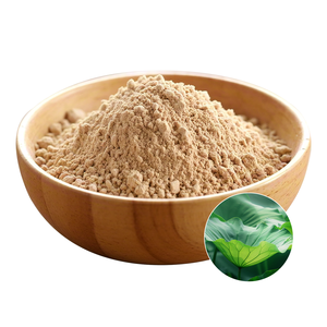 Высокое качество натуральный органический экстракт листьев лотоса порошок потеря веса 1% 2% 98% нуциферин - Product Image 3