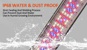 Strip Voor Hydrocultuur Bar Tuinbouw 1000W <span class=keywords><strong>Led</strong></span> Kas Lm301 Bar 640W <span class=keywords><strong>Led</strong></span> Grow Licht Voor Binnenteelt - Product Image 4