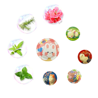 Fourniture d'usine de haute qualité pour enfants et adultes voyage patch d'huile essentielle à base de plantes d'intérieur