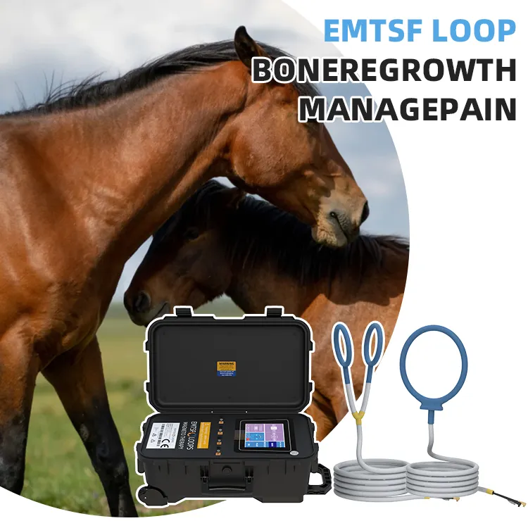 Emtt horse therapy physical rehabilitation loop magnetotherapy pemf magnetic therapy device pemf mat