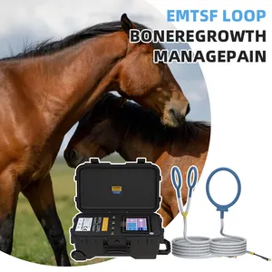 Emtt Horse Therapy Physical Rehabilitation Loop Magnetotherapy Pemf Magnetic Therapy Device Pemf Mat