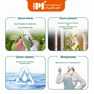 Pots <span class=keywords><strong>et</strong></span> jardinières intelligents au design moderne personnalisé pour le <span class=keywords><strong>ménage</strong></span> pour une utilisation en appartement - Product Image 5