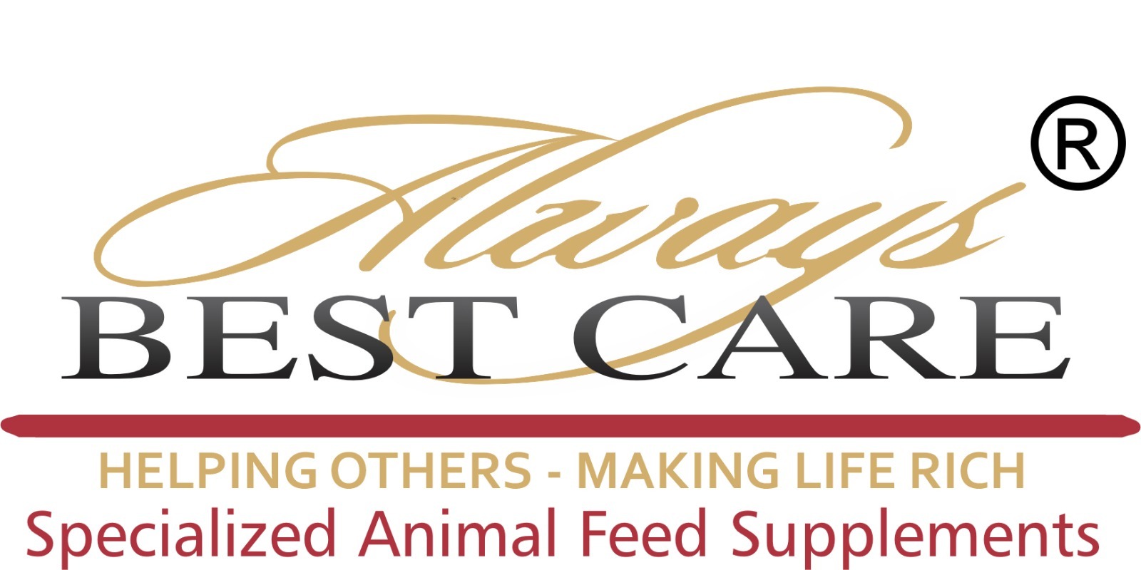 ALWAYS BEST CARE logo