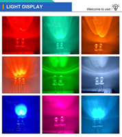 DAYUNLed Fabricant Personnalisé Diffusé Rond 5mm Bougie Scintillante Led Diode Rouge