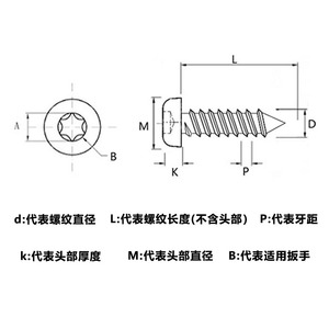 304M3M4 - Product Image 5