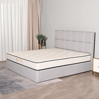 Ascenseur électrique de grande taille de haute qualité grand espace sous le lit avec base de lit de rangement double cadre simple