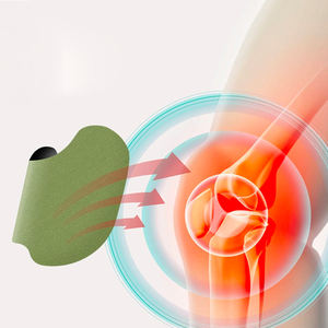 Sıcak Satış Doğal Pelin Özlü Transdermal Bant Diz Sırt Ağrısı Giderici Sağlık Bakım Bandı Eklem Enflamasyonu İçin 2 Yıl Raf Ömrü - Product Image 2