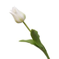 Bunga Tiruan Diana Tulip Berkualitas Tinggi dari Karet PVC Lembut, Batang Tunggal, Tekstur Mirip Grapefruit, Tahan Air