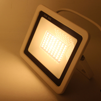 Lampu Sorot LED 50W 2025 IP65 Bodi Aluminium dengan Sensor PIR Tanpa Driver LED untuk Aplikasi Lanskap