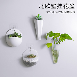 Wall Mounted Hydroponic Flower Pot <b>Plastic</b> Circular Minimalist Design For Indoor Green <b>Plants</b> With Hooks Included - Product Image 2