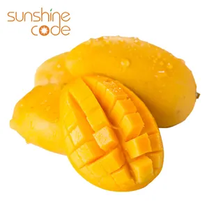 Zonneschijncode Vers Mango Fruit Geel Alfanso Mango Geel Mango Display