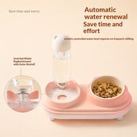 Bol double pour animaux de compagnie en forme de tête de chat, bol à nourriture pour chien et chat, fontaine à eau automatique, bol d'alimentation personnalisable pour animaux de compagnie