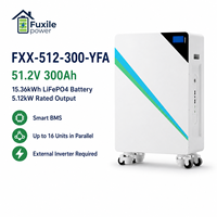 Batterie au lithium LiFePO4 51,2 V 300 Ah 15,36 kWh, pack de batteries de stockage d'énergie solaire avec BMS 200 A intégré, compatible avec Deye Growatt