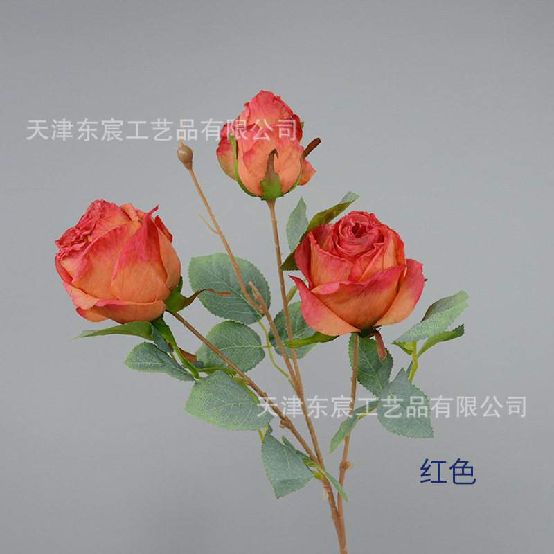 Rose rouge à trois têtes