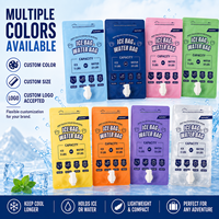Pochettes souples transparentes en plastique alimentaire avec bec verseur, capacité 1L-5L, résistantes à l'humidité, impression gravure, logo personnalisé, pour boissons et jus