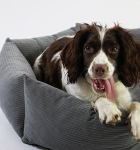 Venta al por mayor de fábrica, cama Hexagonal lavable extraíble para perros, cama de pana para gatos, alfombrilla para mascotas, alfombrilla para perros - Product Image 5