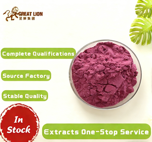 Amostra de Pó de Açaí Silvestre Instantâneo de Grau Alimentício Disponível, Fornecedor da China, Fabricante Jin - Product Image 2