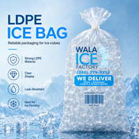 Sacs à glaçons transparents de qualité alimentaire avec logo personnalisé du fabricant, sacs à glaçons en fil métallique pour l'emballage de machines automatiques