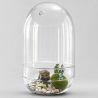 Terrarium en verre borosilicate fait main avec couvercle en verre et trou de ventilation, récipient transparent pour exposition de plantes