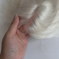 Topper de cheveux 100% naturels en cheveux humains, 5,5x6 pouces, avec dentelle suisse HD, mono, à clipser, pour femmes, pour la remplacement des cheveux blancs et gris
