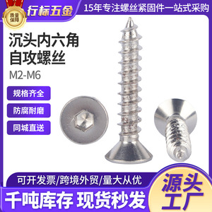 สกรูเกลียวปล่อย M1.2 M2.5 M4 เมตริก คลาส 4.8 หัวจม หัวแบน หัวฟิลลิปส์ สำหรับงานโลหะและอุปกรณ์อิเล็กทรอนิกส์ - Product Image 5