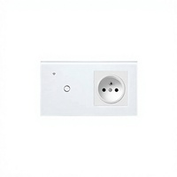 Prise murale intelligente Wi-Fi 2,4 GHz 240 V 16 A de type 157, style français, avec commande vocale, panneau en verre trempé, compatible