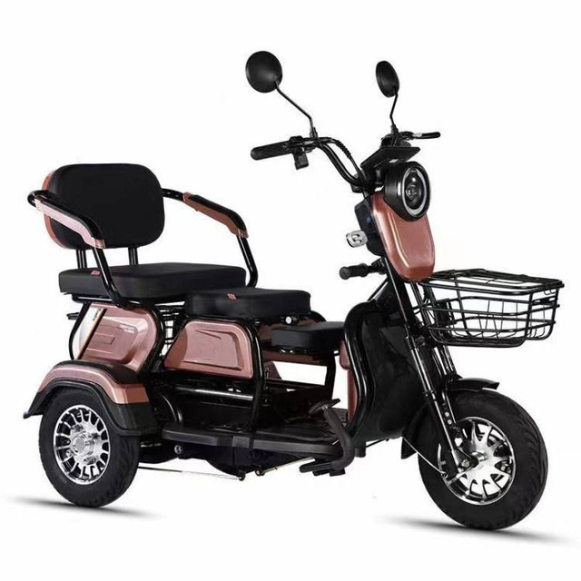 Cheap Factory Price Three Wheel Motorcycle Cargo Family E Bike 3 Seater Long Range Electric Tricycle