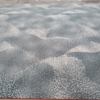 Conception personnalisée écologique 80% laine 20% nylon Axminster Hotel Tapis de luxe 5 étoiles Hotel Commercial Floor Area Tapis & Sets