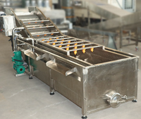 Industriële bubbelwasmachine voor fruit en groenten, tomatenwasmachine