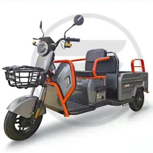 Çin'de yapılan Saige 650W 800W 1000W elektrik trike elektrik üç tekerlekli bisiklet 2 kişi için büyük güç elektrik üç tekerlekli bisiklet engelli