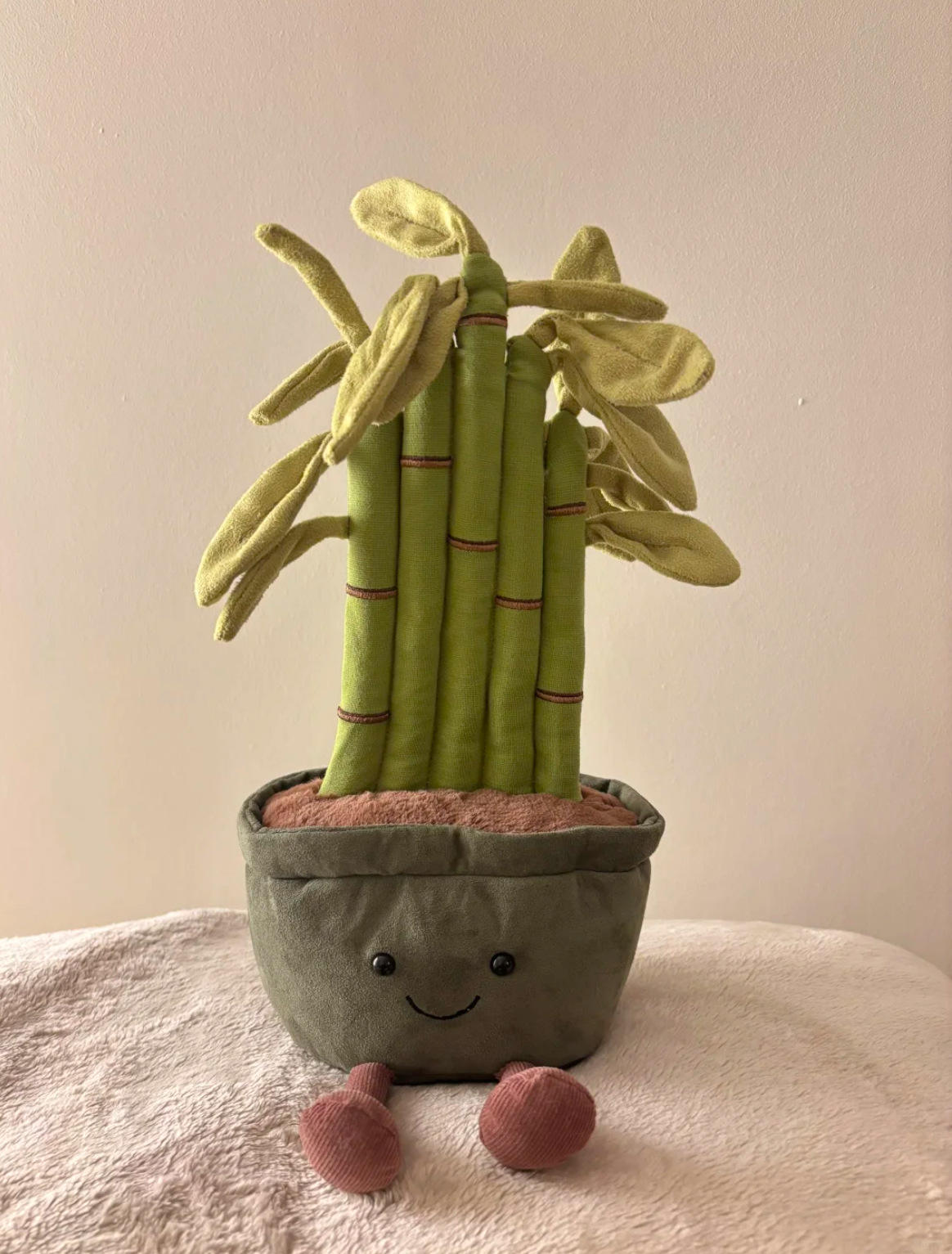 Plante en pot bambou porte-bonheur 30cm - sac bleu 3b offert