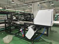 Machine de tri optique pour l'ail rouge, pour le tri de l'ail non pelé et des taches noires