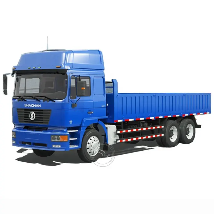 SHACMAN modello classico 6X4 8X4 4X4 6X6 cargo truck 30 ton camion camion