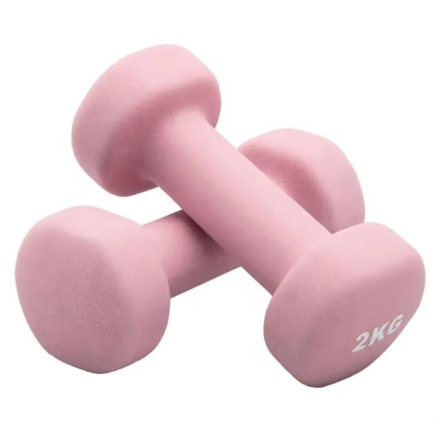 Dumbbell Vinil Binaraga Dumbbell