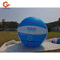 Ballon gonflable de volley-ball de décoration Ballon gonflable géant de ballon de plage de volley-ball pour la publicité