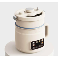 Mini-cocotte électrique programmable multifonction avec fonction de départ différé et maintien au chaud, revêtement antiadhésif, pour riz, soupes et ragoûts, capacité 3L, usage domestique