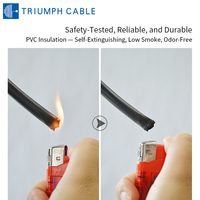 Cable Eléctrico de Cobre, Cable Fotovoltaico de CC, Aislamiento XLPO Negro, H1Z2Z2-K, 1.5mm 2.5mm 4mm 6mm 16mm, Cable Solar Fotovoltaico