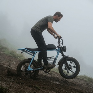 Vélo électrique haute performance 48V 16Ah avec pneus larges, vélo <span class=keywords><strong>de</strong></span> montagne pour l'aventure en plein air - Product Image 1