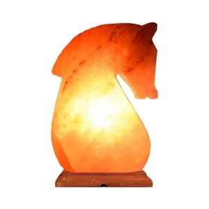Lámpara de Sal del Himalaya con Forma de Boca de Caballo, Material Orgánico Tallado con Tacto Real para Decoración, Empaque de Alta Calidad - Sian Enterprises - Product Image 1